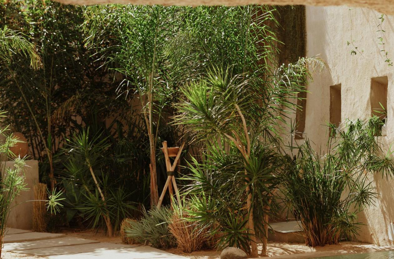 Ecohotel El Agua Arico el Nuevo Dış mekan fotoğraf