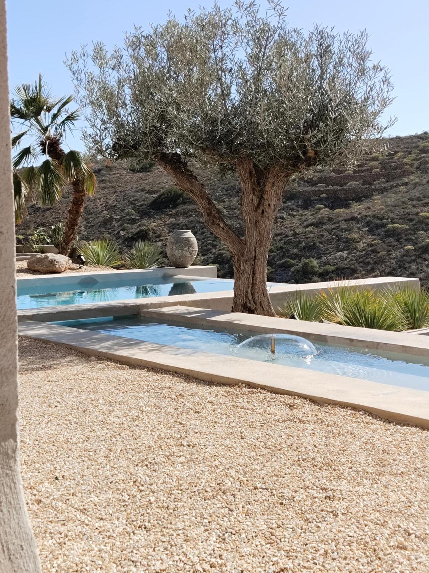Ecohotel El Agua Arico el Nuevo Dış mekan fotoğraf